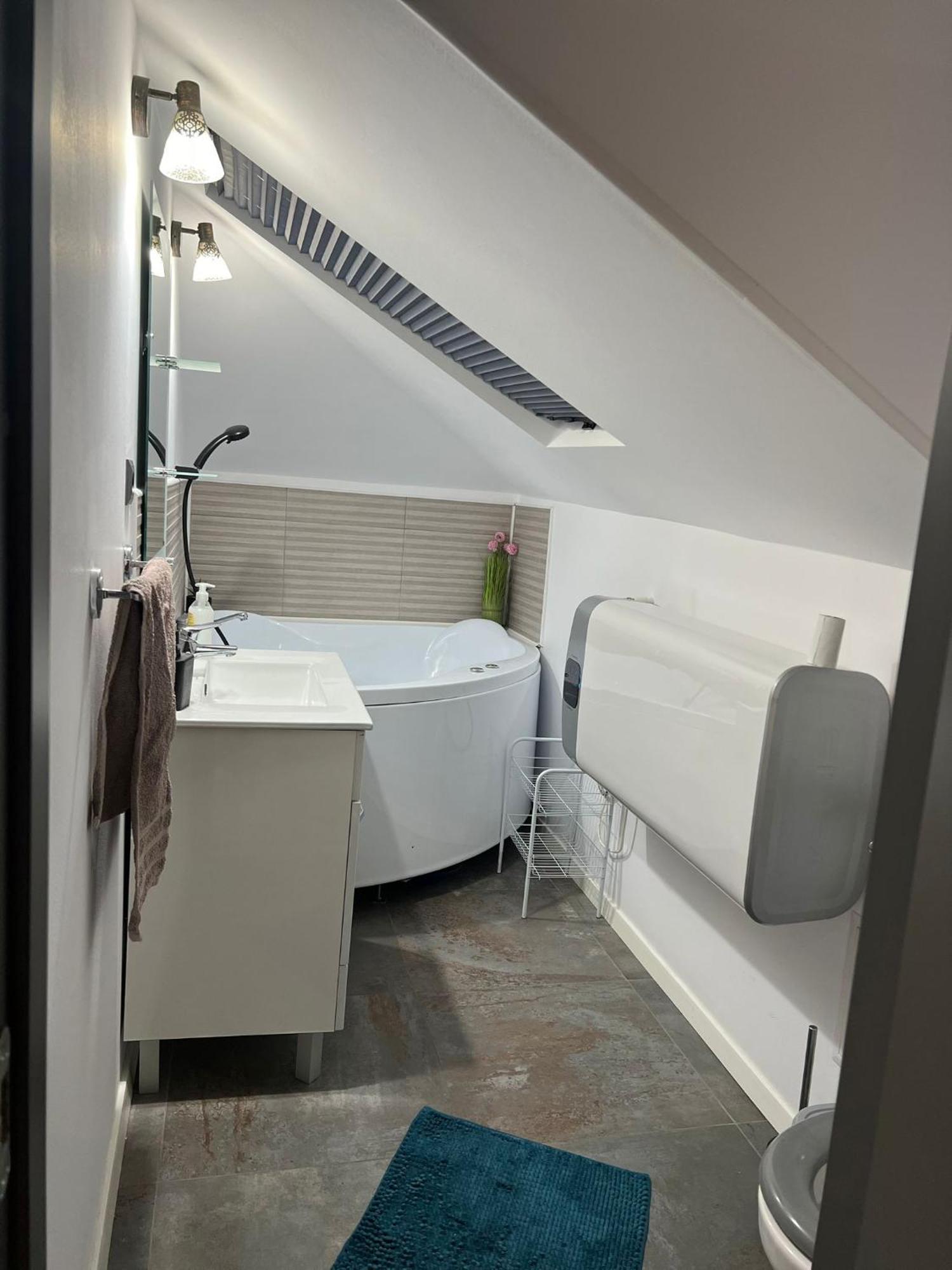 Apartament Mansarda Venus Râmnicu Vâlcea Eksteriør bilde